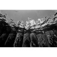 thumbnail image 2 of Lee Peterson 4x24 White Modern Wood Framed Wall Art Titled - Pier Pilings I, 2 of 5