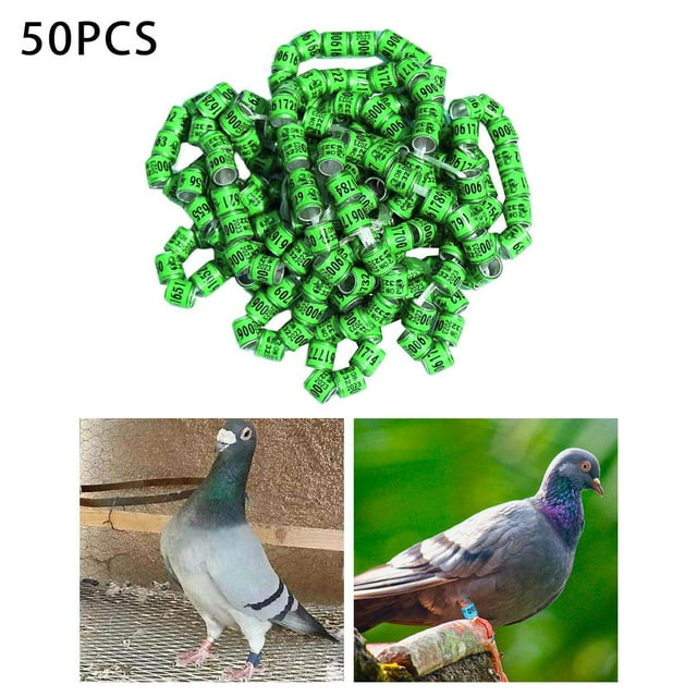 ruzhgo 50x 2023 Pigeon Leg Rings Bird Foot Bands for Bantam Finch Canary Grass Green