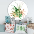 thumbnail image 2 of Designart 'Tropical Leaves Air Plant Succulent On White' Farmhouse Circle Metal Wall Art 36x36 - Disc of 36, 2 of 5