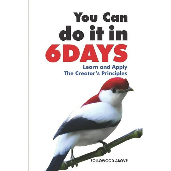 You Can Do It in Six Days: Learn and Apply The Creator's Principles, (Paperback)
