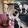 thumbnail image 5 of Ceinture de Scurit pour Chien Voiture avec Absorption des Chocs Durable Rglable Elastique Fils Rflchissants et Mousqueton Solide pour Tous Les Chiens, 5 of 5
