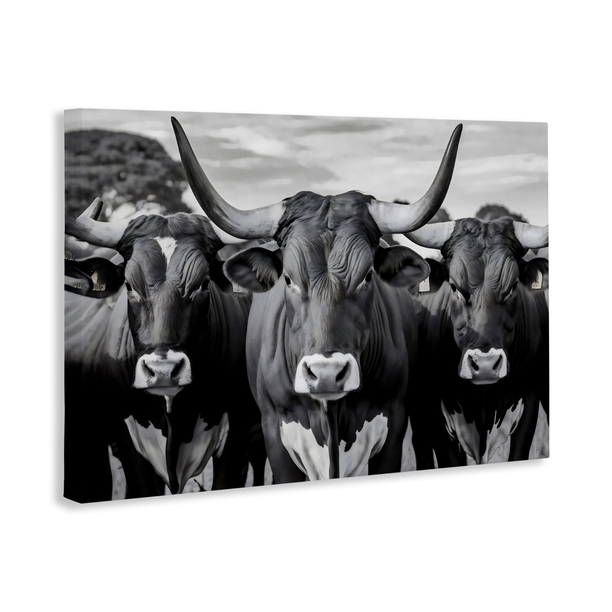 Stupell Industries Three Longhorns in a Row Canvas Wall Art, design by Creative Studio