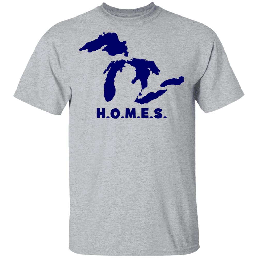 hail t shirt michigan