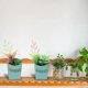 thumbnail image 5 of 2 uds macetas de madera de flores falsas combinación suculenta bonsái decoración del hogar plantas verdes artificiales plantas en macetas montadas en la pared, 5 of 5