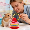 thumbnail image 3 of BotaniNest Rabbit Interactive Educational Interesting Rabbit Rings And Games Suitable For Small Animals Squirrels Birds Cats Hamsters Indoor Or Cages, 3 of 5