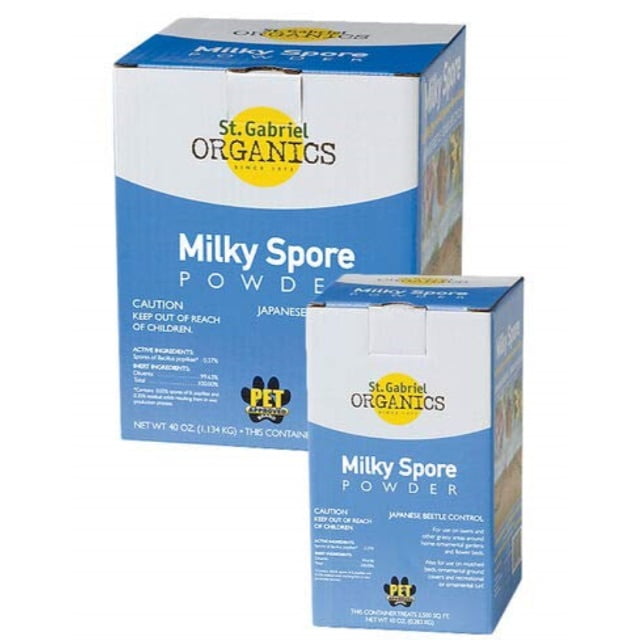 milky spore home depot