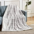 thumbnail image 2 of BEAUTEX Sherpa Fleece Throw Blanket for Kids Children Teens Young Girls or Adult for Sofa Couch Bed (50" x 60", Light Grey Stripe), 2 of 7