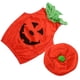 thumbnail image 3 of 1 disfraz de calabaza para decoraciones de Halloween., 3 of 3