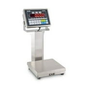 CAS BENCH/PLATFORM SCALE CAS GP Enduro GP C/W 15 x 15 200 lb w/CI-200SC Indicato
