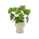 thumbnail image 1 of Artificial Bonsai Simulated Flowers Fake Green Plant Small Potted Floral Arrangement Desktop Decoration Handheld Wedding Bouquet Photography Prop, 1 of 5