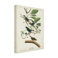 thumbnail image 2 of John James Audubon 'Indigo Bird' Canvas Art, 2 of 3