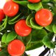 thumbnail image 1 of TABLETREANDS Adorno De Bonsái Frutal Simulado Multicolor Para Y Espacios De Hogar, 1 of 6