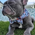 thumbnail image 6 of The Bloo Club Bowdanas, Dog Bow Ties & Bandanas, 100% Made in The US, a melding of Comfort & Style, Donate with Each Sale to Local Animal Shelters (Club Executive Shark Pet, Medium), 6 of 7