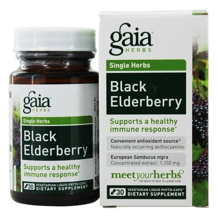 Gaia Herbs - RapidRelief Black Elderberry for a Healthy Immune System - 30 Vegan (Best Herbs For Immune System)