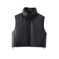 thumbnail image 1 of Chaleco de piel sintética para mujer, chaqueta elegante con cremallera, cuello alto, color negro, a la moda, otoño e invierno, 2023, 1 of 5