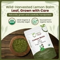 thumbnail image 3 of Organic Way Lemon Balm Leaf Whole (Melissa Officinalis) - Herbal Tea | Organic & Kosher Certified | Vegan | Raw, Non GMO & Gluten Free | USDA Certified | Origin - Albania (1/2 lbs / 8 oz), 3 of 8