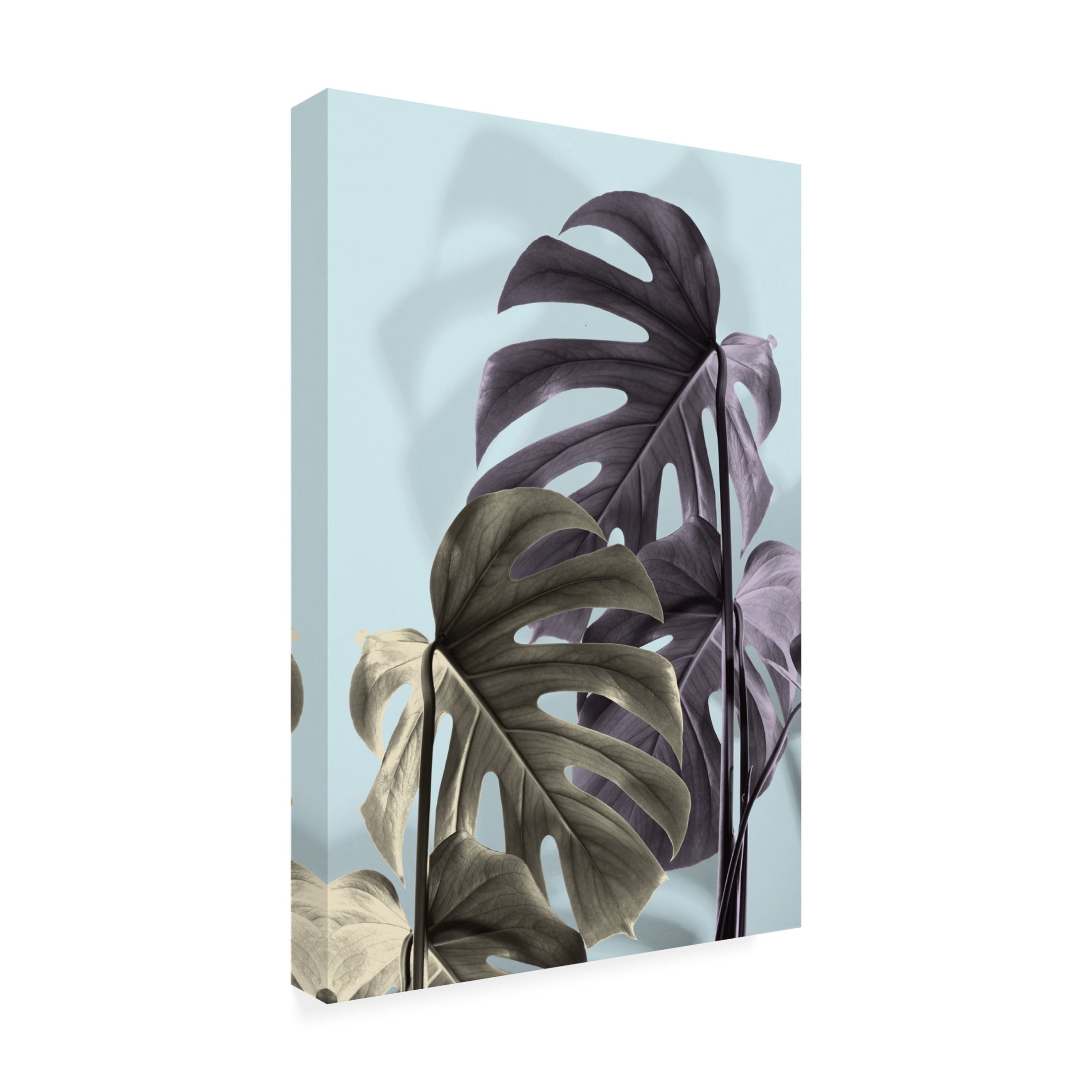 Trademark Fine Art Pictufy Studio Monstera Blue 02 Canvas Wall Art