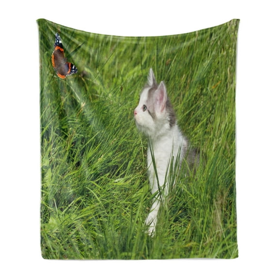 Nature Soft Flannel Fleece Throw Blanket, Cat Watching a Butterfly on Grass Field Garden Inspirational Picture, Cozy Plush for Indoor and Outdoor Use, 50" x 70", Fern Green White Grey, by Ambesonne