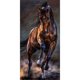 thumbnail image 3 of Pintura de diamante 5D DIY Kit de caballo de taladro redondo completo decoración del hogar arte artesanal FLhrweasw  Nuevo, 3 of 9