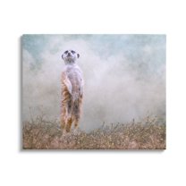 Stupell Meerkat Watching Prairie Nature Animals & Insects Photography Gallery Wrapped Canvas Print Wall Art