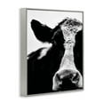 thumbnail image 3 of Stupell Industries Cow Black And White Close Up Photography Gray Framed Art Print Wall Art, 24x30, by Lettered and Lined, 3 of 5