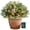 1pcs - C, variant on 2 Pack Ideaplaned Pre-lit Feel-Real Artificial Christmas Tree Urn Filler – Weatherproof with Lights & Tripod Stake, Holiday Decor for Entryways & Patios