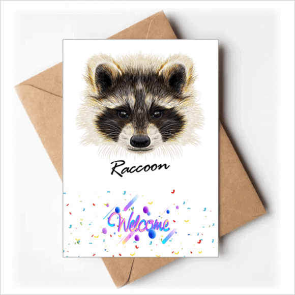 Petites Cartes de Vœux Méchantes Marron Raccoon Animal Bienvenue Retour Enveloppes Vierges