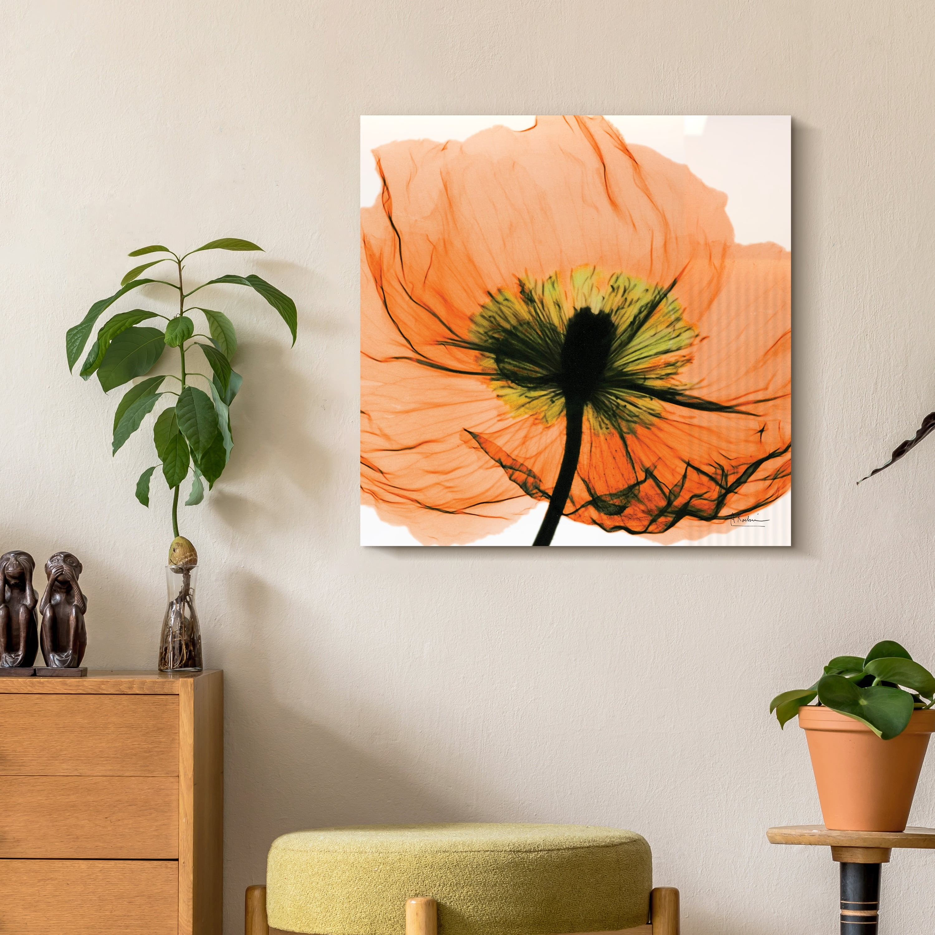Empire Art Direct Poppy Orange Frameless Free Floating Tempered Glass Panel Graphic Flower Wall Art, 24" x 24" x 0.2", Ready to Hang