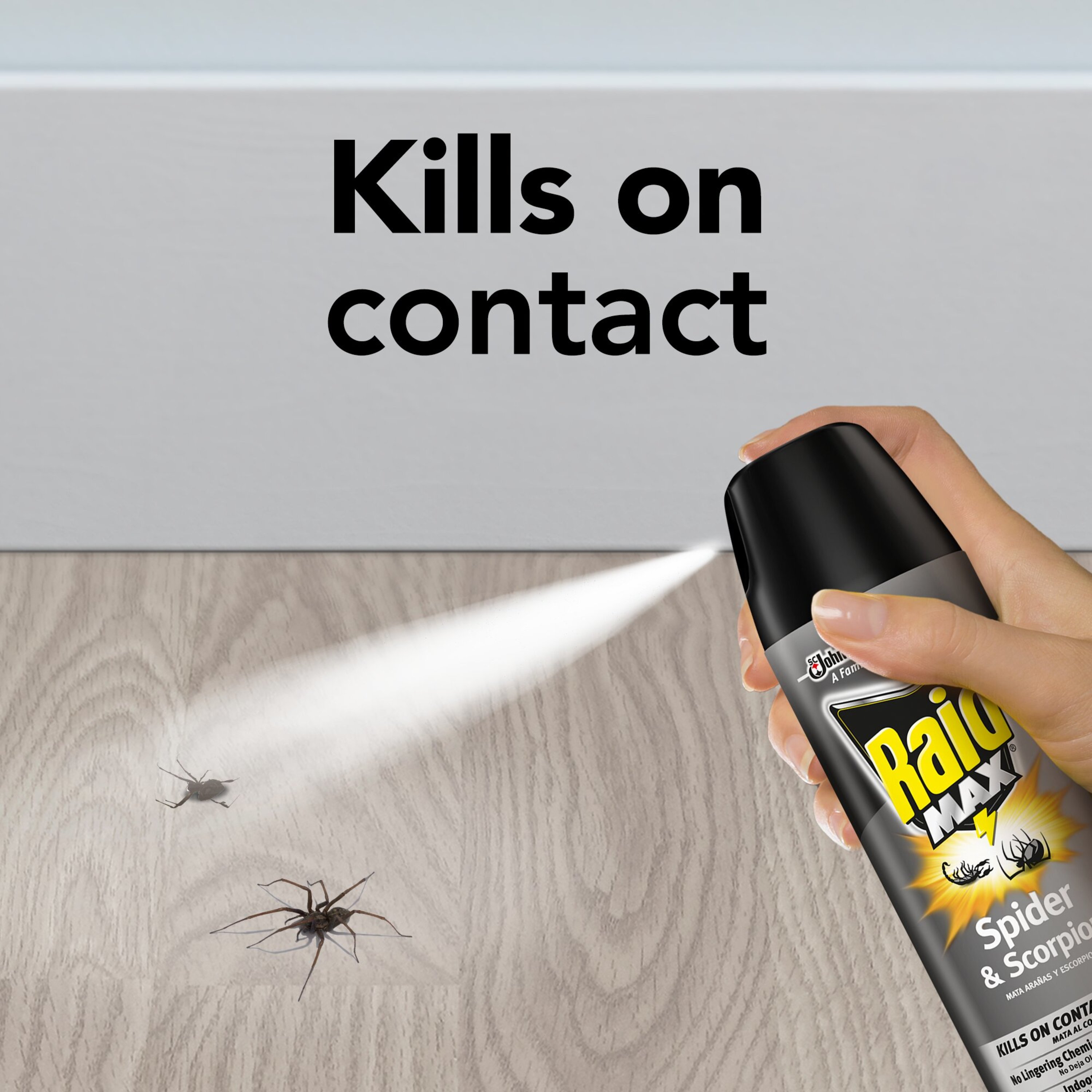 Raid Max Spider & Scorpion Killer, Indoor & Outdoor Anti Spider Spray, 12 oz - image 4 of 15