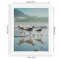thumbnail image 2 of Paint by Numbers Kit for Adults, Shore Birds Reflection Beach Scene Paint by Numbers, Easy Paint by Numbers Kit for Adults Beginner, DIY Adult Paint by Number Kits on Canvas, Home Decor, 2 of 7