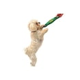 thumbnail image 2 of Pets First Collegiate Oregon Ducks Football Field Toy for DOGS & CATS. Heavy-Duty, Durable toys with Squeakers, 2 of 6