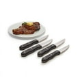 thumbnail image 3 of Broil King Steak Knife Set - Stainless Steel Blades, Resin Handles - 4 Piece, Multicolor, 3 of 4