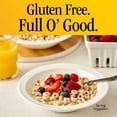 thumbnail image 5 of Frosted Cheerios, Heart Healthy Cereal, Family Size, 18.4 oz, 5 of 16