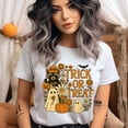 thumbnail image 2 of Trick or Treat Raccoon Ghost Pumpkin Halloween Graphic T-Shirt, Azalea, Size XL, 2 of 6