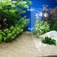 thumbnail image 4 of YSNOOWE 1Jgo Divisor Para Acuario Transparente Con De Visibilidad Y Para Peces, 4 of 7