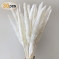 thumbnail image 2 of Hierba de pampa, hierba de pampa natural, hierba de pampa seca, fragmitas, ramo de flores secas, decoración para el hogar Ormromra LN-0724, 2 of 6