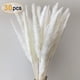 thumbnail image 2 of Decoración natural de hierba de pampa seca, decoración familiar, decoración de dormitorio familiar y sala de estar, 2 of 6