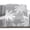 Gray, White, Cream, variant on Flannel Throw Blanket for Couch Sofa Bed,Summer Coastal Coconut Trees Soft Cozy Warm Fuzzy Blanket 40x50in