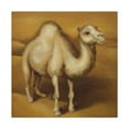 thumbnail image 4 of "Dromedary in Deserts" - Canvas, 4 of 25