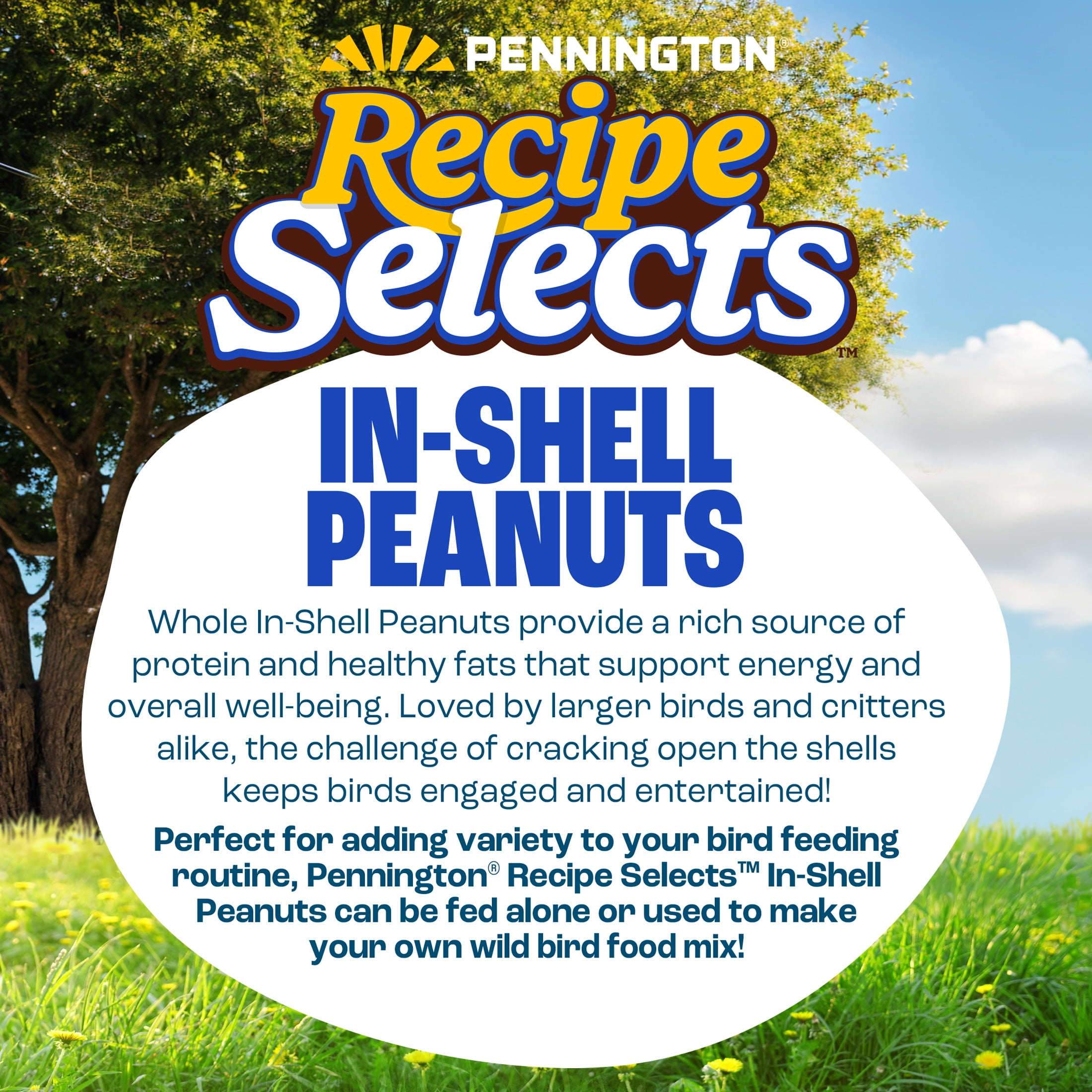 Pennington Recipe Selects Peanuts in Shell for Birds, Wildlife and