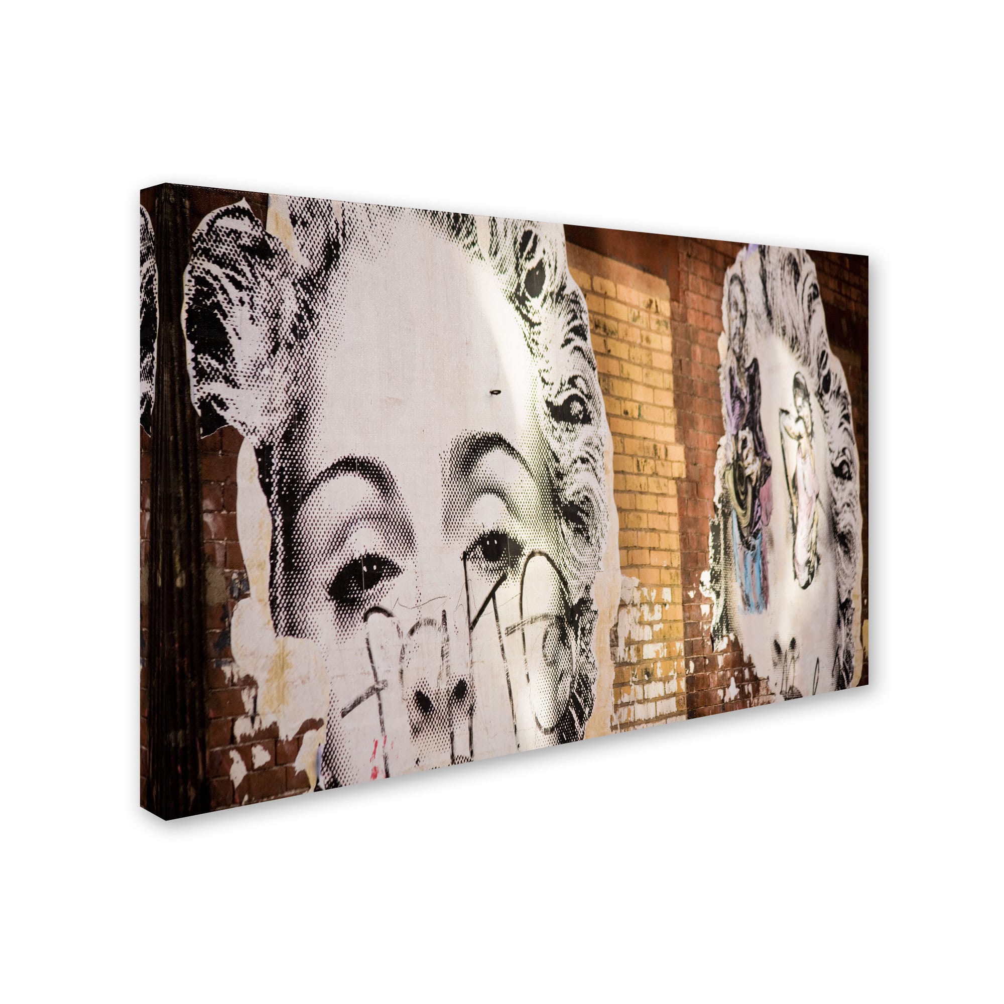 Trademark Fine Art "Pop Art Madonna Meatpacking" Canvas Art by Yale Gurney