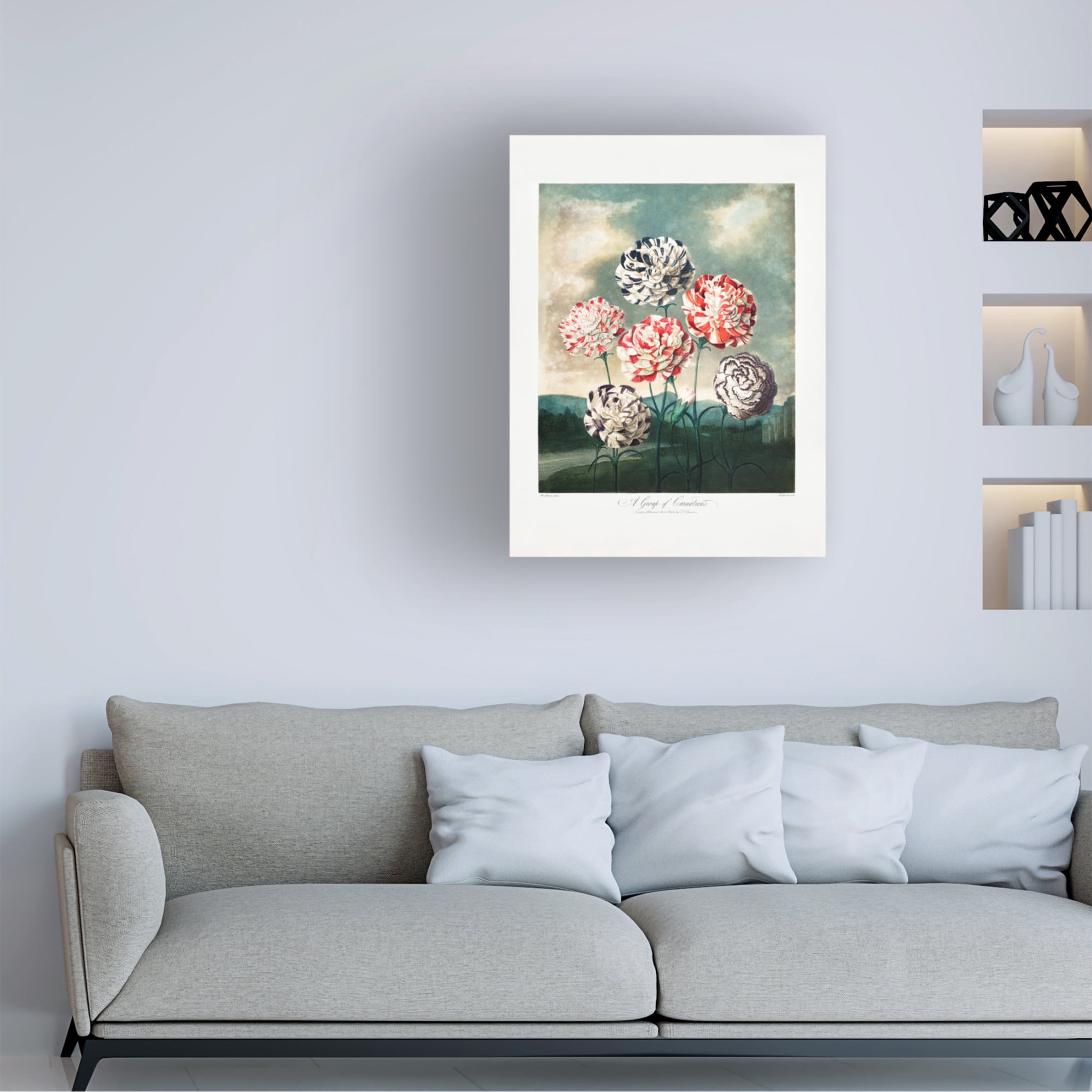 Trademark Fine Art Pictufy  A Group of Carnations from The Temple of Flora 1807 Canvas Wall Art