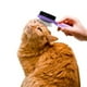 thumbnail image 4 of Cepillo Doble Gato Expert Fancy Pets Cerdas Acero Inoxidable FL8330, 4 of 4