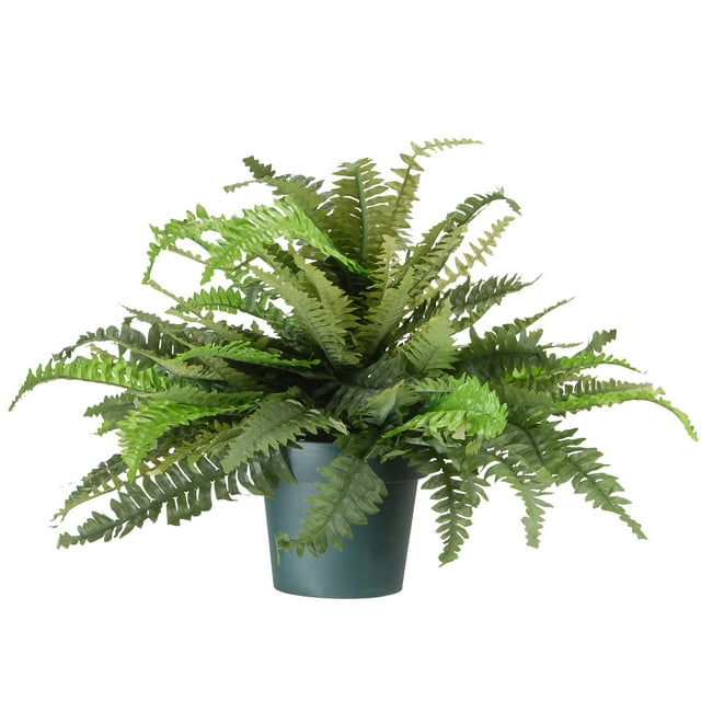 National Tree Company 20 Inch Artificial Plant Fern Bush with Green Growers Pot