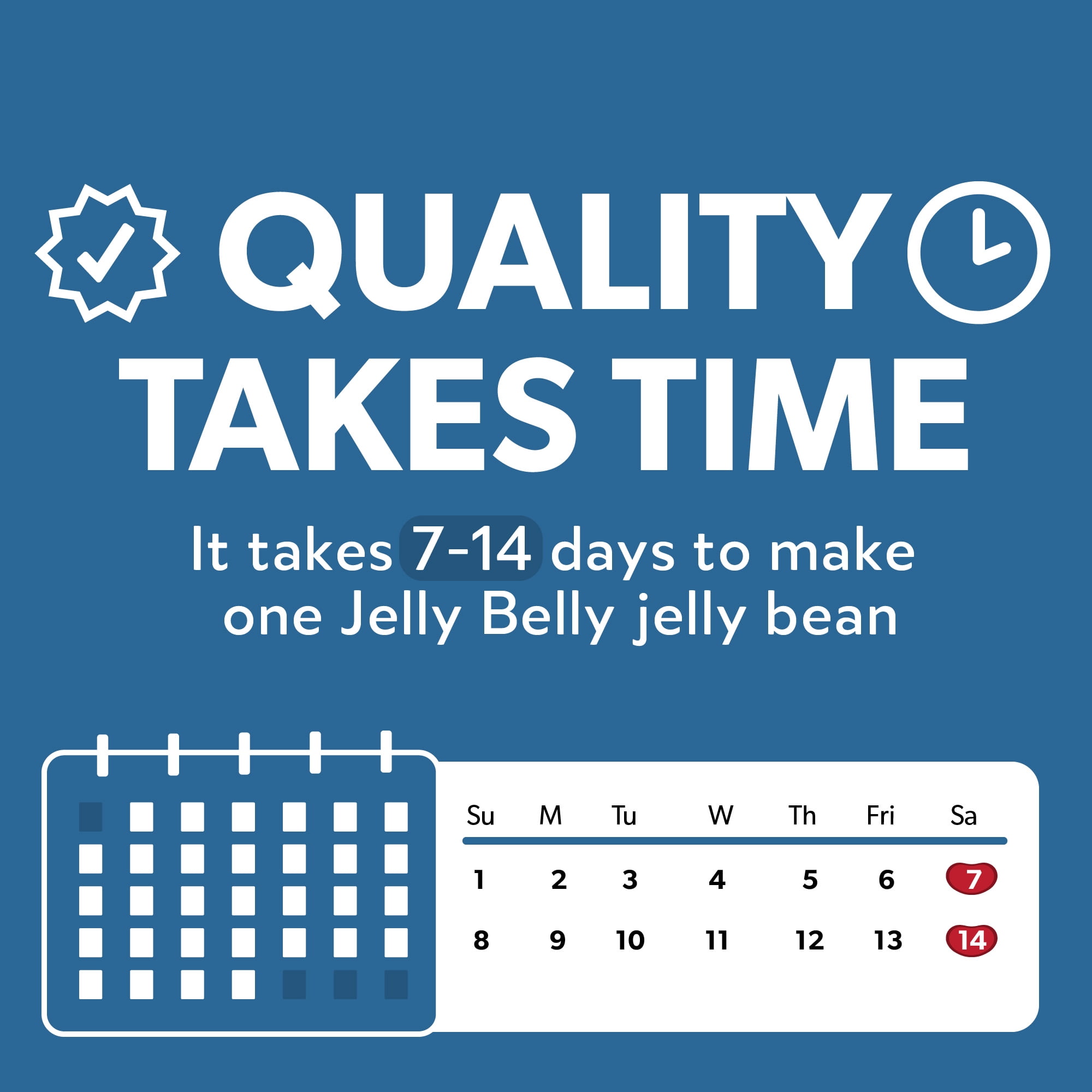 Jelly Belly Sugar-Free Assorted Jelly Beans - Mix of 9 Popular Flavors, Pack of 12 x 2.8 Ounce Bags