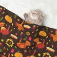 thumbnail image 2 of Disketp Thanksgiving Turkey Dog Blanket/Bed Cover for Dogs and Cats,Puppy Essentials-Large, 2 of 8
