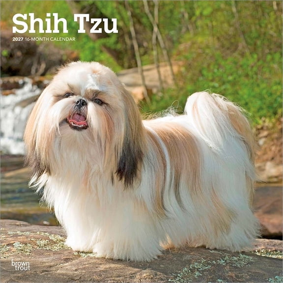 Shih Tzu 2027 12 X 24 Inch (Hanging) Monthly Square Wall Calendar Plastic-Free, (Paperback)