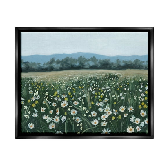 Stupell Industries Traditional Daisy Meadow Landscape Painting Black Floater Framed Canvas Art Print Wall Art, 21 x 17