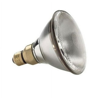 All Light Bulbs in Light Bulbs Walmart