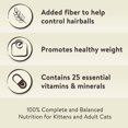Special Kitty Indoor Formula Dry Cat Food, Chicken & Pea Flavor, 3.15